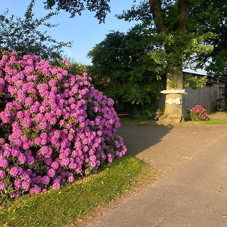 Ferienwohnung Unter Den Eichen Botersen Exterior foto