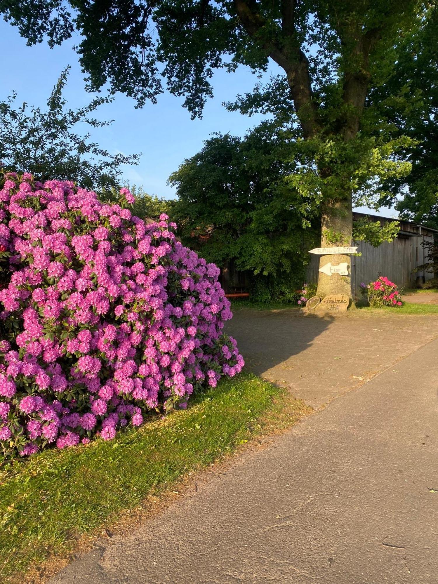 Ferienwohnung Unter Den Eichen Botersen Exterior foto